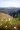 Van Stadens Wildflower Reserve.