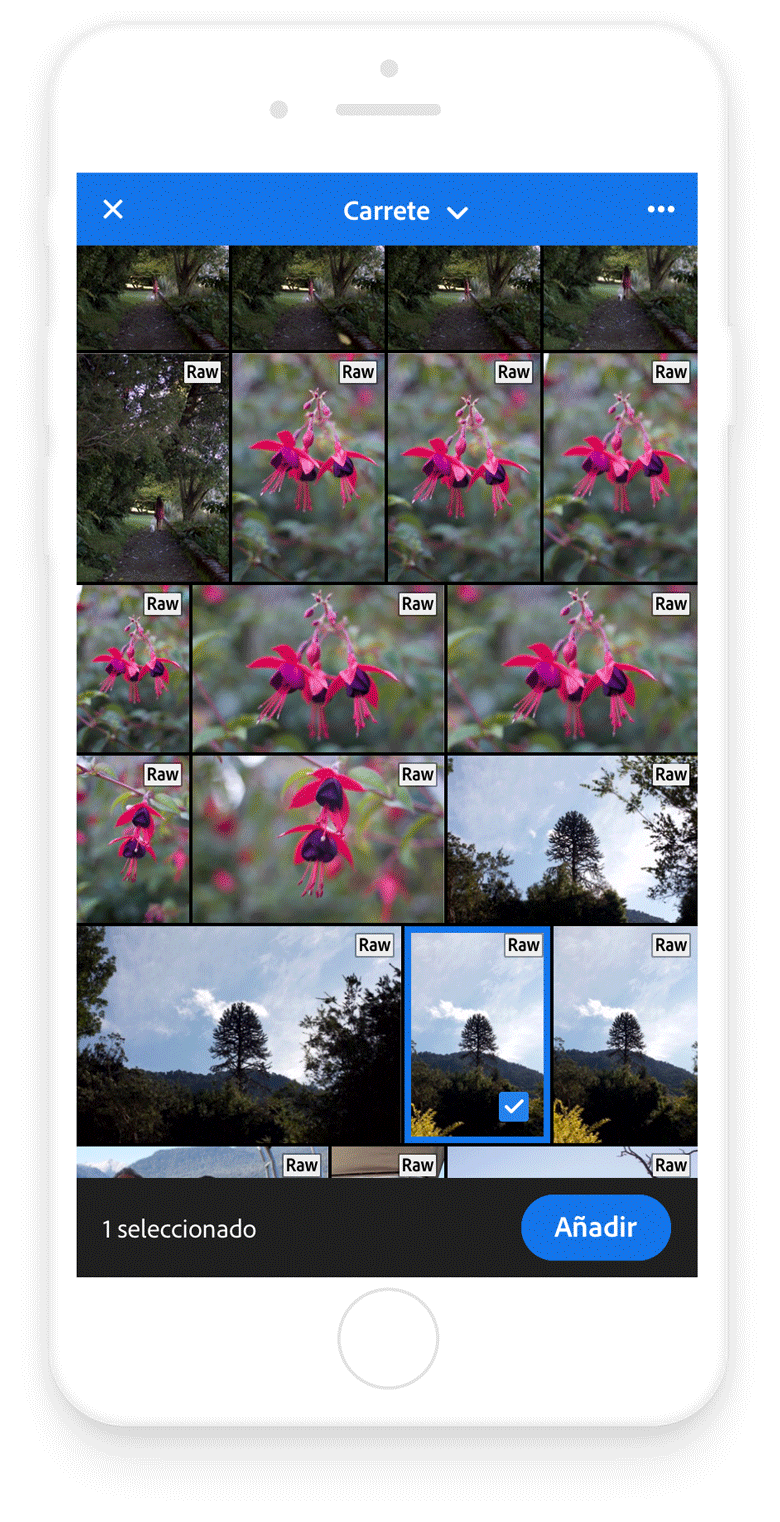 Utilizando los presets