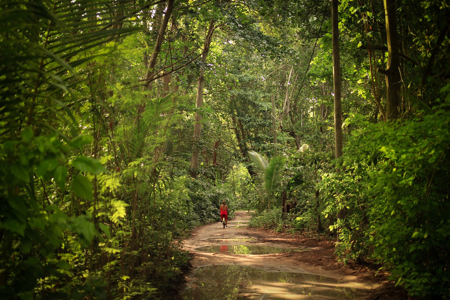 Paseando en bicicleta por los bosques de La Digue, Seychelles